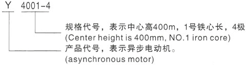 西安泰富西玛Y系列(H355-1000)高压YKK4505-6三相异步电机型号说明